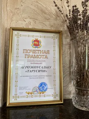 Гостевой дом Тарусичи с сауной и джакузи — фото 10