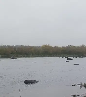 Усадьба "Белый Кролик" — фото 9