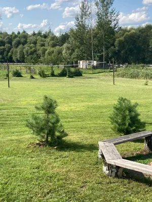 Усадьба "Белый Кролик" — фото 2